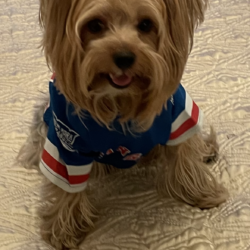 Hairiest Fan